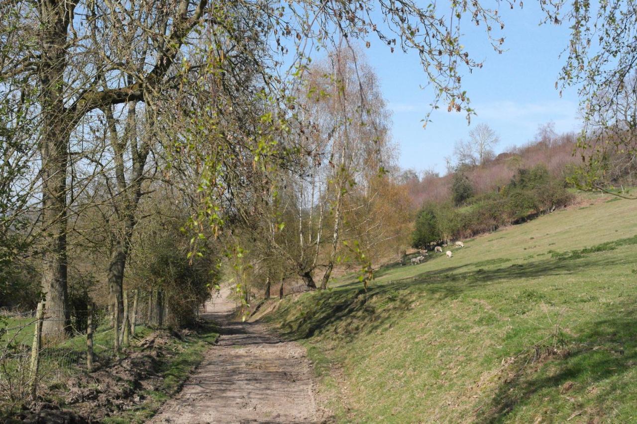 Prospect Barn Panzió Hereford Kültér fotó